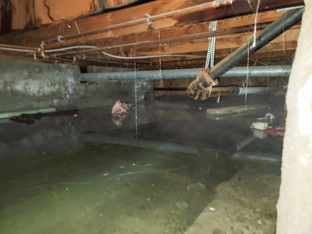 Best Flooded house restoration  in Ainaloa, HI