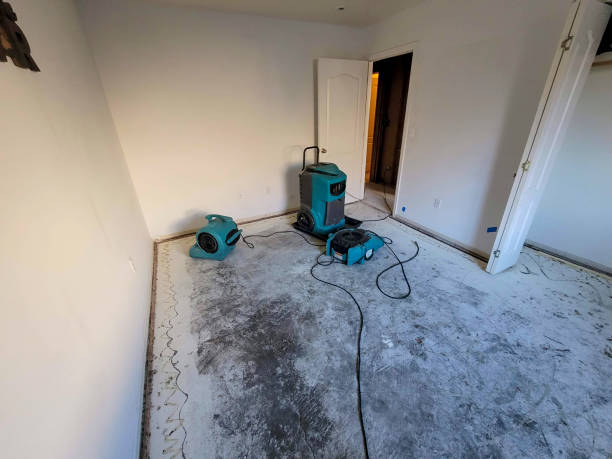 Best Water damage cleanup near me  in Ainaloa, HI