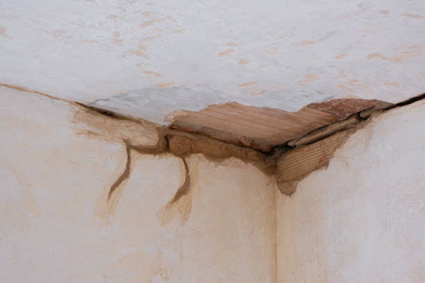 Best Commercial water damage restoration  in Ainaloa, HI