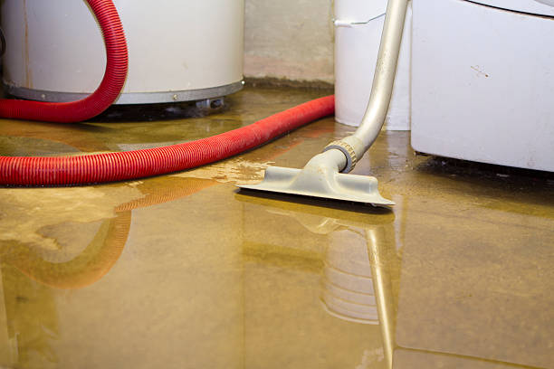 Best Local water damage restoration  in Ainaloa, HI