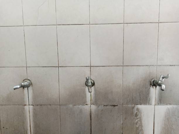 Best Water damage restoration specialists  in Ainaloa, HI